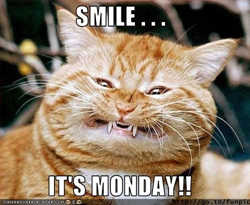 Good Morning Monday